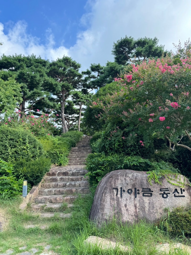 [靈巖旅遊] 適合帶孩子去的地方 | 月出山氣燦樂園伽倻琴散調紀念館拍照區、影像室參觀後...