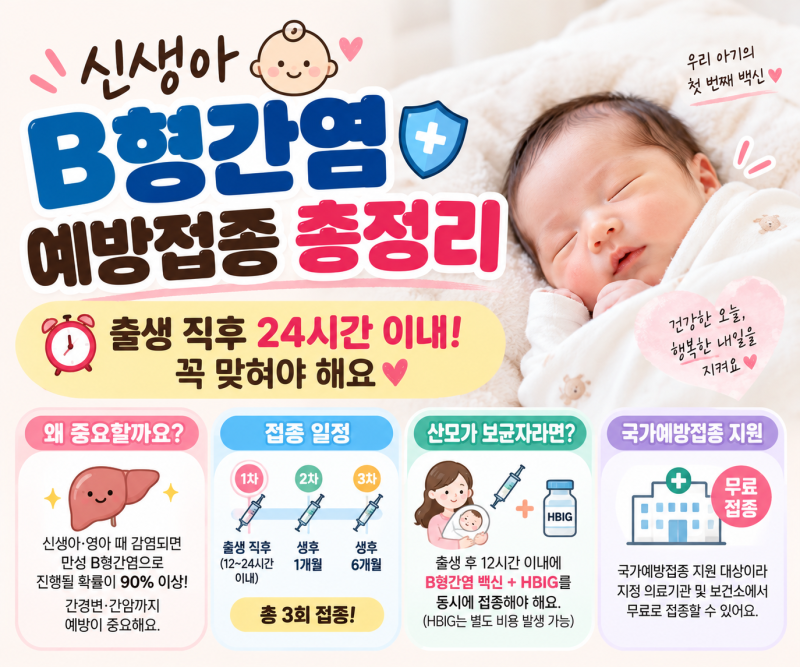 신생아 B형간염 예방접종 총정리 (출생 직후 24시간 이내! 꼭 맞혀야 해요)