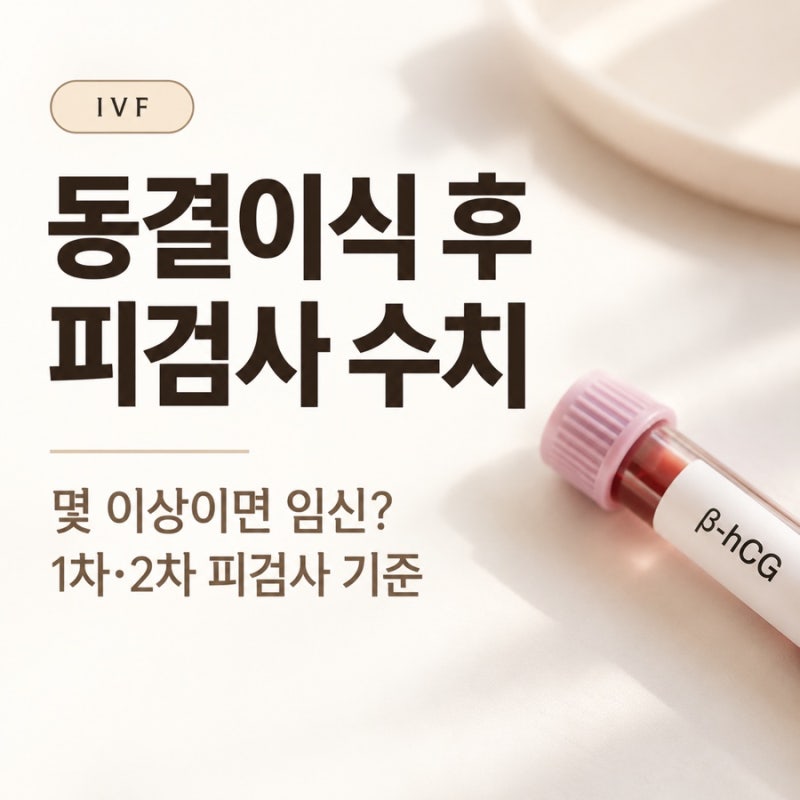 시험관 동결이식 후 피검사 수치｜몇 이상이면 임신? 1차·2차 피검사 기준