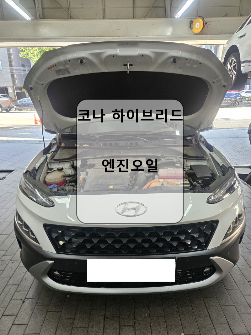 코나 하이브리드 엔진오일 교환