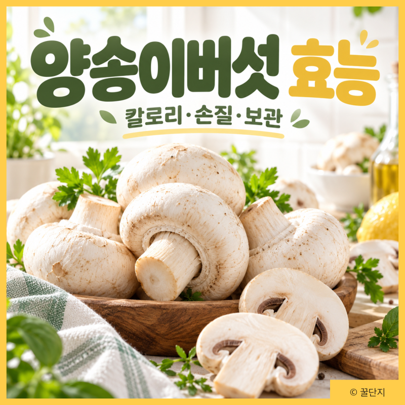 양송이버섯 효능, 이렇게 좋았어? 영양성분 칼로리 손질법 먹는법 주의사항