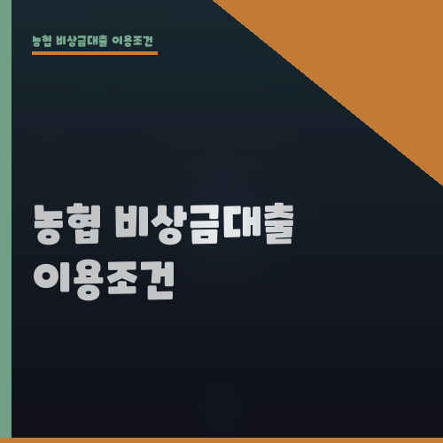 농협 비상금대출 이용조건