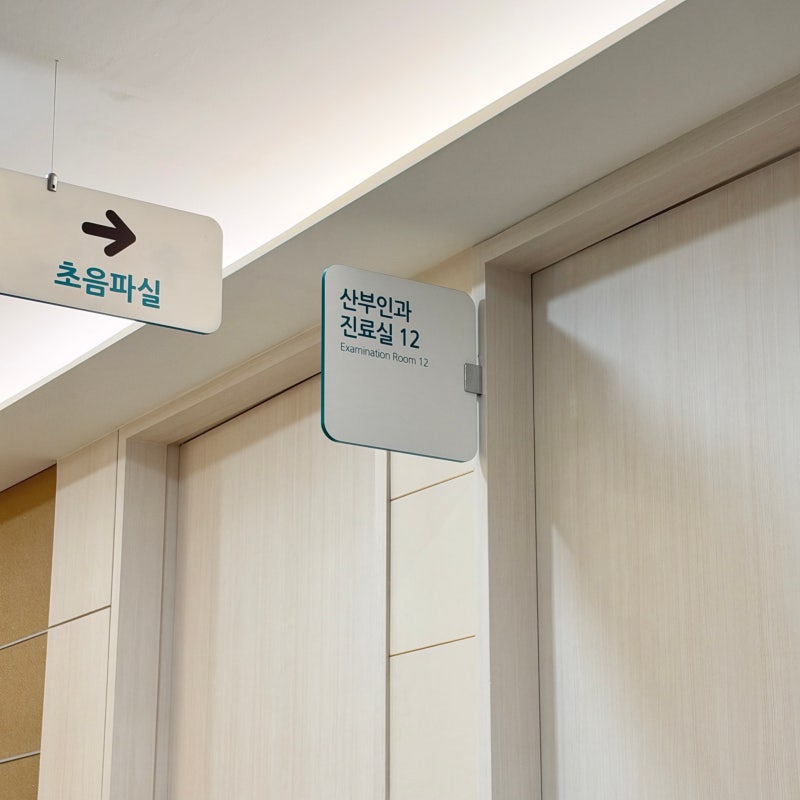 임신 중기 5. 임당 재검 결과는? 임신성 당뇨 위험성 · 햇빛병원 25주 당 정밀 검사 과정 후기
