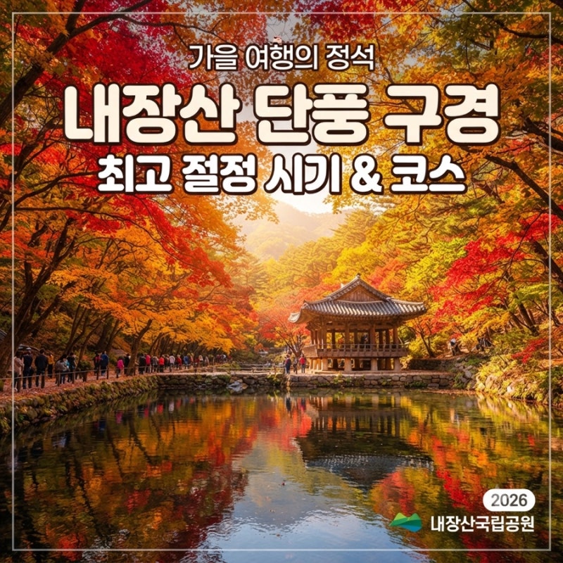 [가을 여행 추천] 전북 정읍 내장산 단풍 시기, 절정 코스 및 주차 꿀팁 총정리