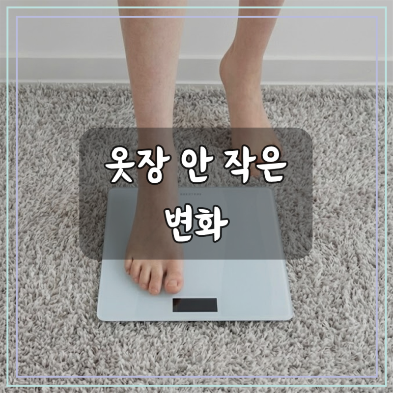 몸무게 측정기 일반 정확한 체중계 임산부 전자저울 화이트