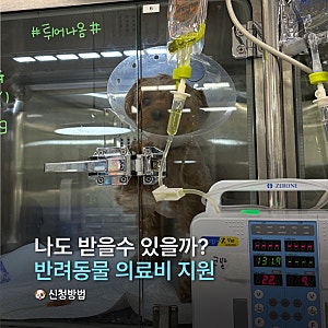 경기도 반려동물 지원금! 나도 해당 될까?