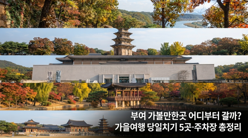 부여 가볼만한곳 어디부터 갈까? 10월 가을여행 당일치기 5곳·주차장 총정리