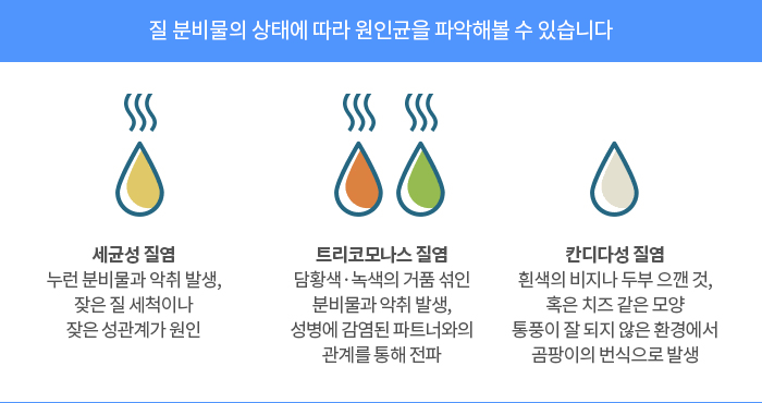 갑자기 찾아온 질염과 가려움! 칸디다·세균성 질염 구분법부터 카네스텐·지노베타딘 올바....