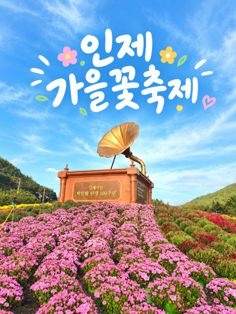 강원도 인제 가을꽃축제 2026-귀경길에 우연히 만난 박인환의 꽃길