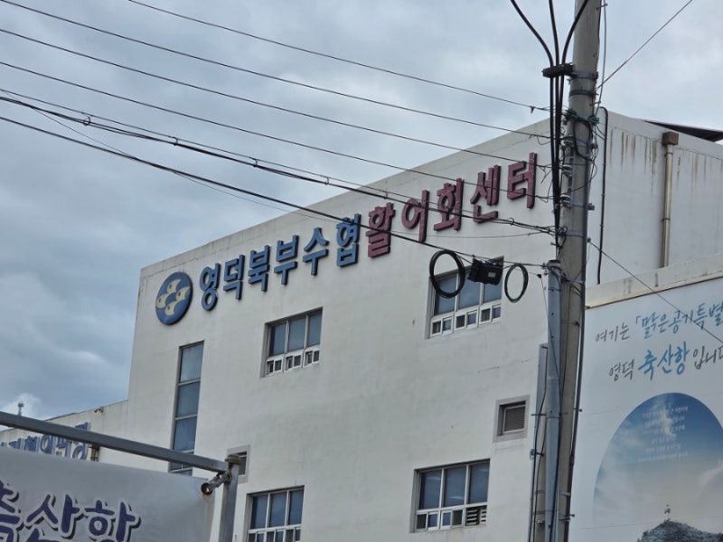 영덕맛집 축산항 영덕북부수협 활어 회센터 대게궁 솔직후기! 싱싱한 대게와 회 제대로 즐....