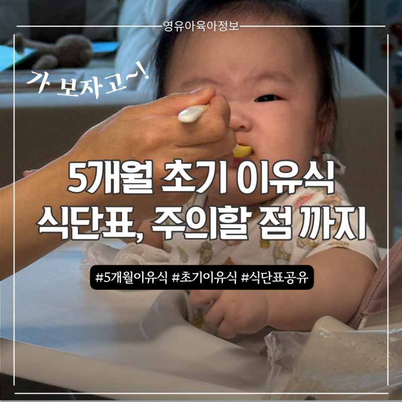 5개월 아기 초기이유식 시작｜쌀미음부터, 이유식 양과 추가수유, 식단표 공유