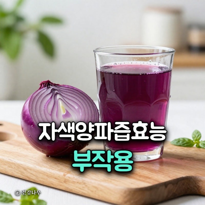 자색양파즙 효능 부작용, 먹는법과 주의할 점