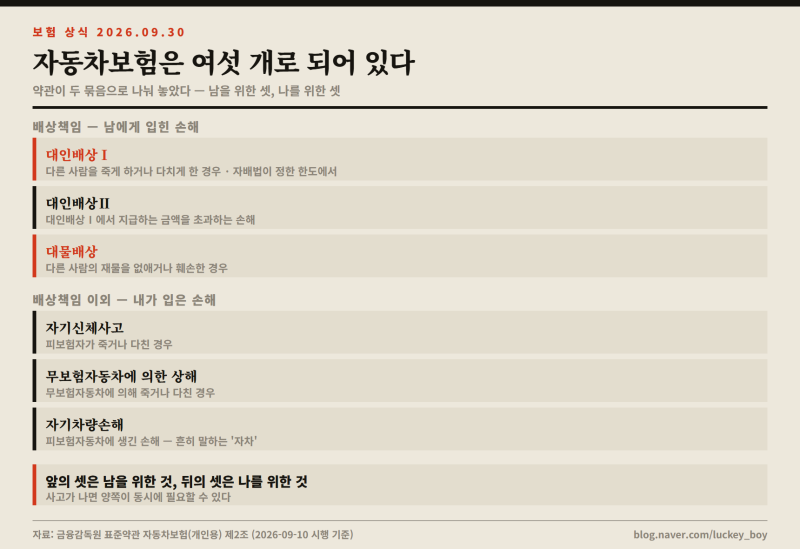 자동차보험은 여섯 개로 되어 있다 — 의무로 들어야 하는 건 둘뿐