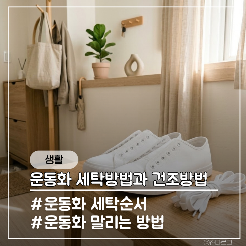 집에서 운동화 세탁방법부터 건조방법까지 한방에 정리