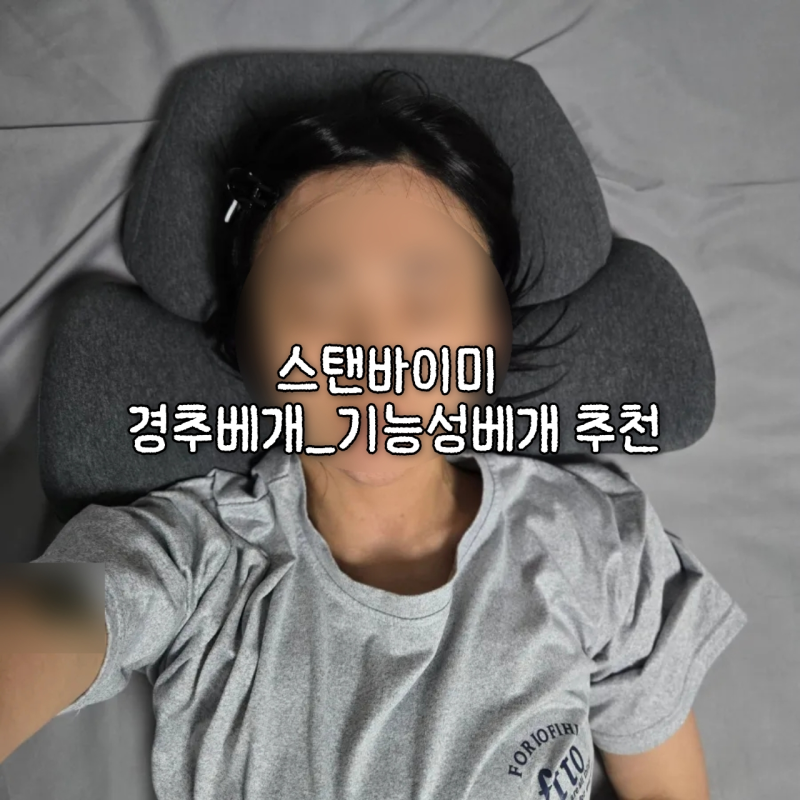 스탠바이미 목디스크기능성베개 추천