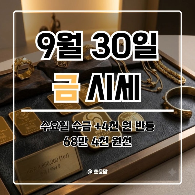 오늘 금시세 1돈 24K 순금 가격 수요일 68만 4천 원 반등, 18K·14K·백금·은 실시간 금값 시세 및 ....