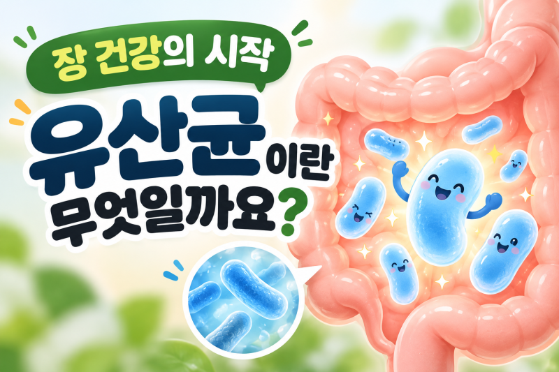 유산균이란 무엇일까요? 2026년 장 건강 가이드 (프로바이오틱스 차이점)