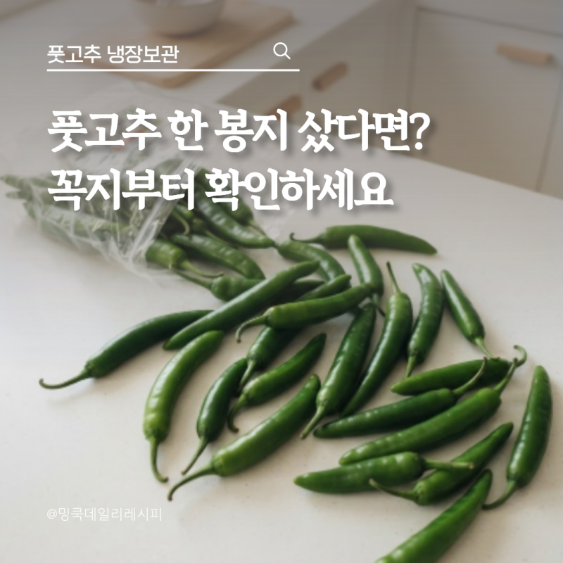 풋고추 한 봉지 냉장보관, 꼭지 떼야 오래 갈까?