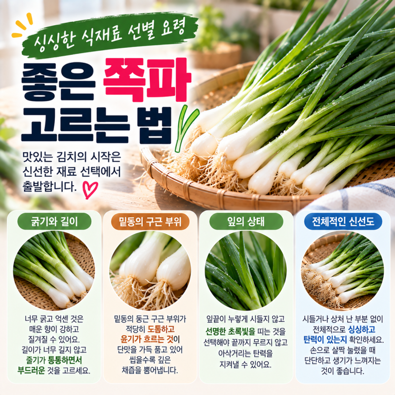 [초간단 밥도둑] 실패 없는 파김치 담그는법 풀 쑤지 않고 10분 완성! 황금 레시피와 멸치액....