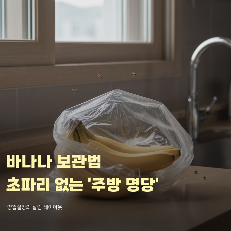 바나나 보관방법, 초파리 때문에 다 해보고 정착한 '의외의 위치'