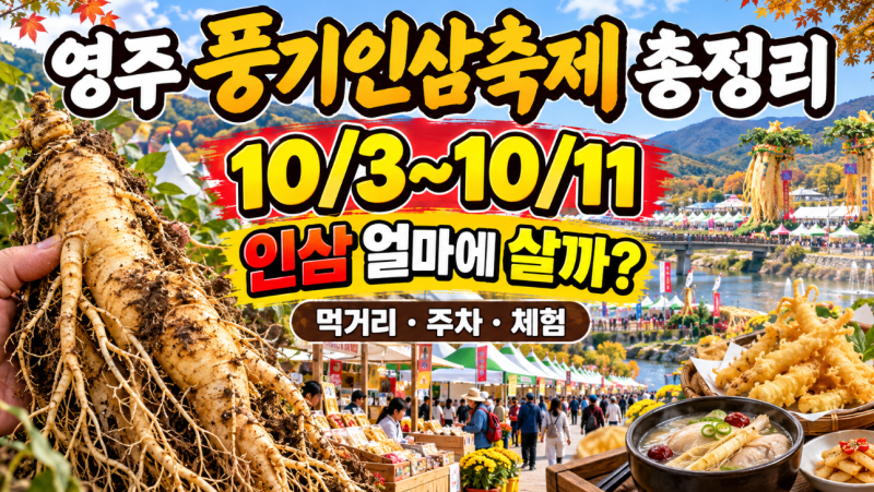 영주 풍기인삼축제｜인삼 가격·먹거리·주차·체험 총정리