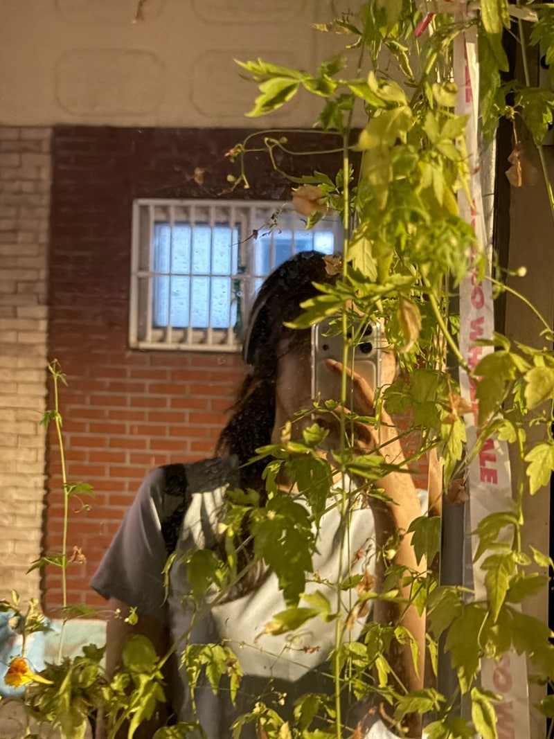 [내돈내산] 2만 원대 미친 가성비! 멀티페어링까지 되는 필립스 TAH2000 레트로 한달 사용 후기