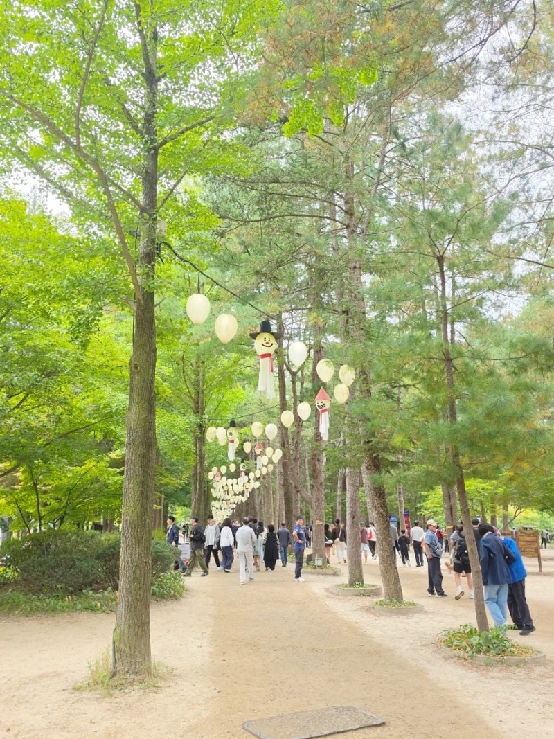 남이섬 입장권 할인부터 주차·배 시간｜직접 다녀온 후기