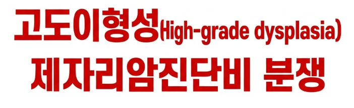 고도이형성(High-grade dysplasia) 제자리암진단비 분쟁