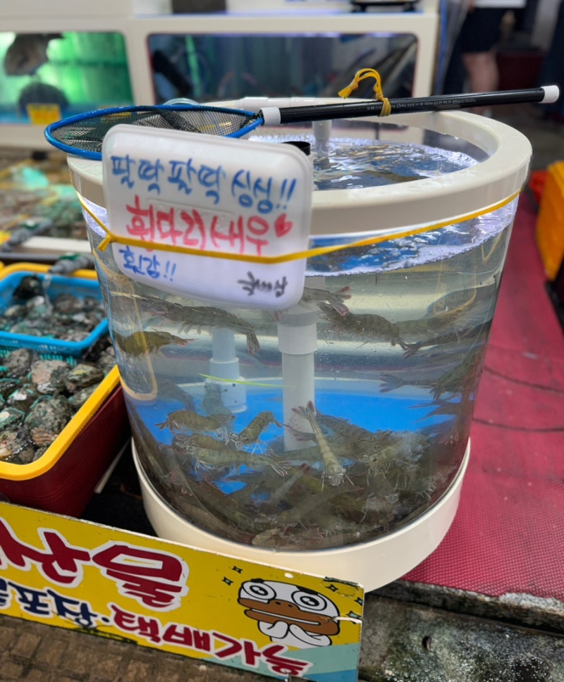 태안 서부시장 해산물 장보기 새우 멍게 섭까지 온누리상품권 환급