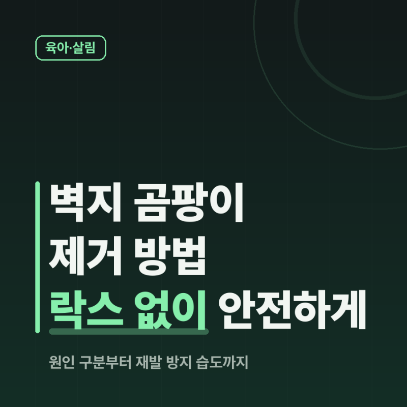 벽지 곰팡이 제거 방법, 락스 없이 안전하게 하는 순서