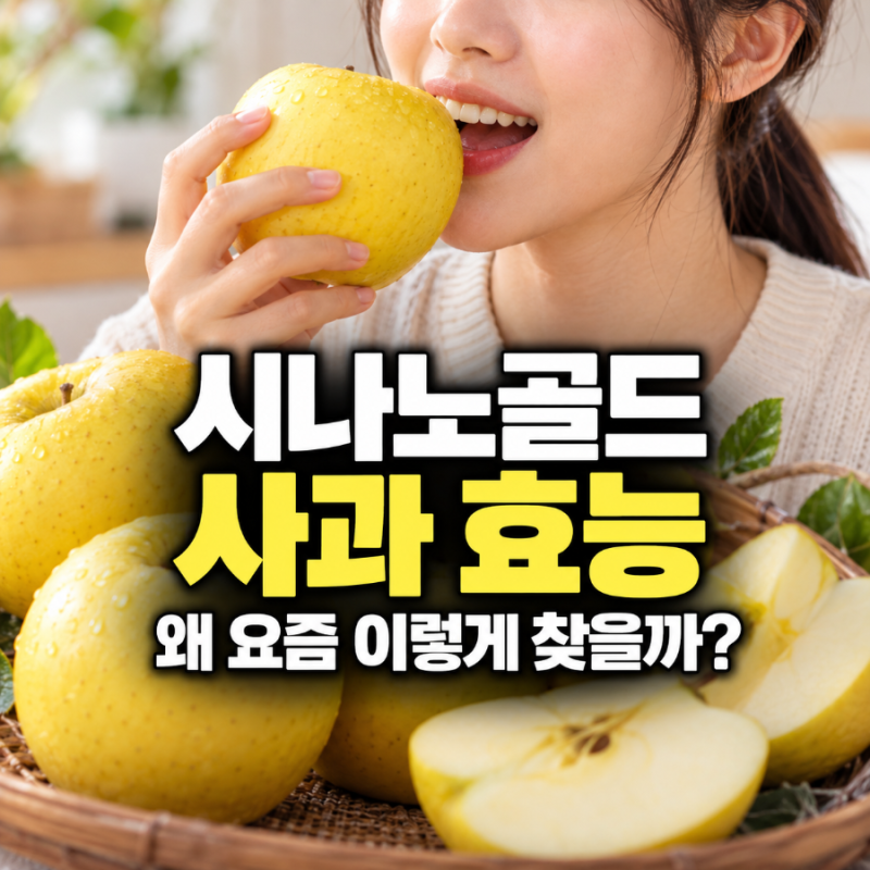 시나노골드 사과 효능, 제철 맛 특징까지 알아보니