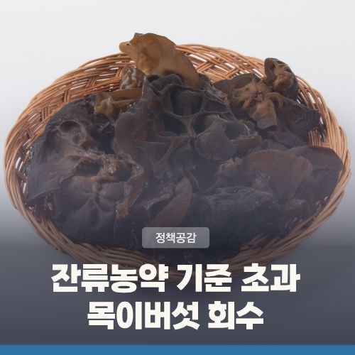 중국산 목이·백목이버섯 잔류농약 기준치 초과 검출··· 식약처, 회수 조치