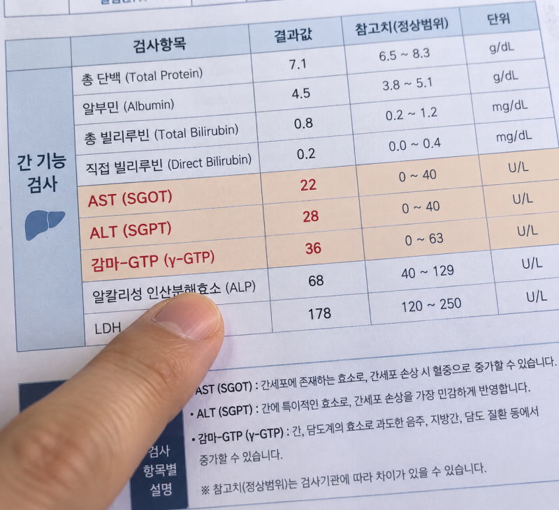 [건강 상식] 건강검진 간수치 AST·ALT 40 넘었다면? 침묵의 장기 '지방간' 신호와 밀크씨슬(실리....