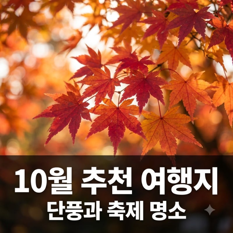 10월 국내여행지 추천 가을 축제 단풍 억새 명소 총정리