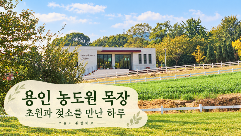 A Visit to Yongin Nongdowon Ranch | A Day Up Close with Grasslands and Dairy Cows