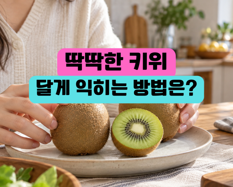 키위가 딱딱하고 신데 먹어도 될까? 후숙하는 법과 냉장 보관 시점