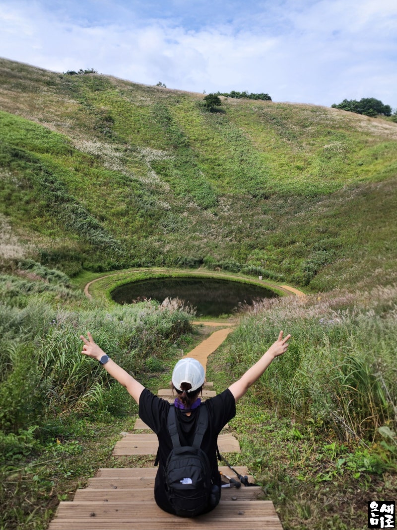 Hiking in September: Enjoying the Dolines and Eulalia Grass at Mindungsan, Jeongseon-gun, Gangwon-do! Course, Time, and Parking Information