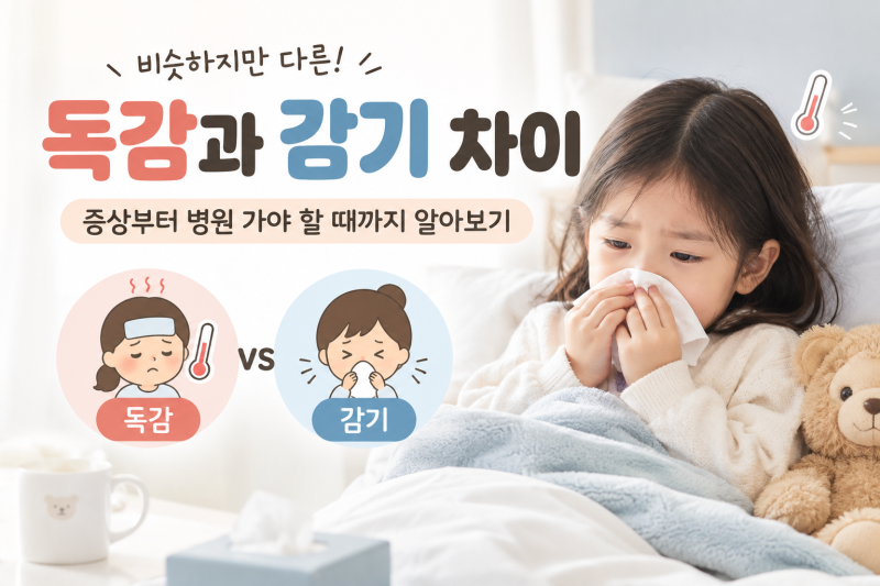 독감과 감기 차이, 증상부터 병원 가야 할 때까지 알아보기
