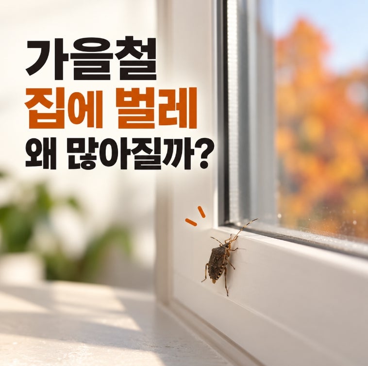 가을철 집에 벌레가 갑자기 많아지는 이유, 확실한 퇴치 방법