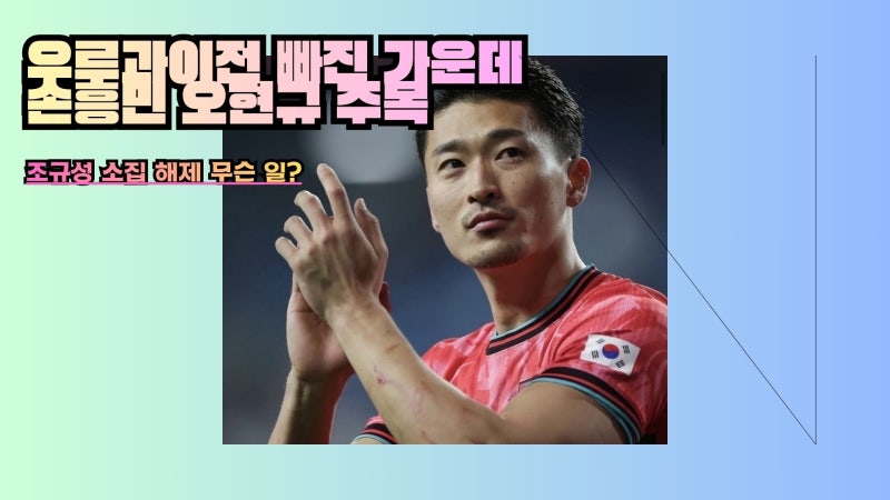 조규성 소집 해제 무슨 일? 우루과이전 빠진 가운데 손흥민 오현규 주목