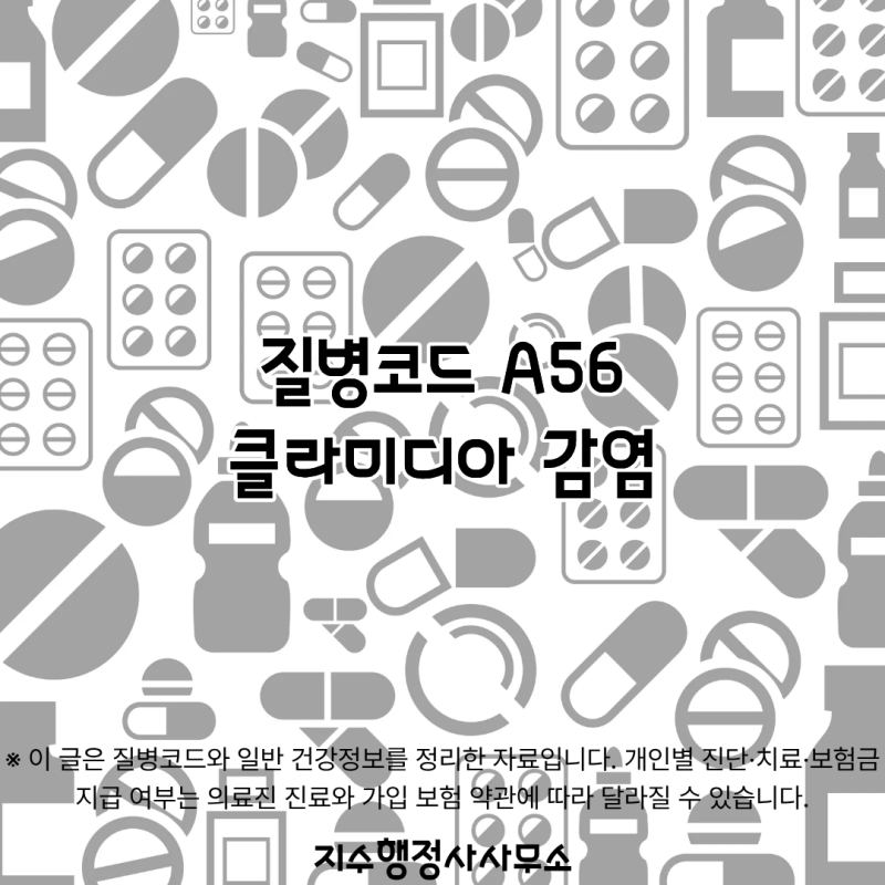 질병코드 A56이란? 클라미디아 감염의 증상·검사·치료 알아보기