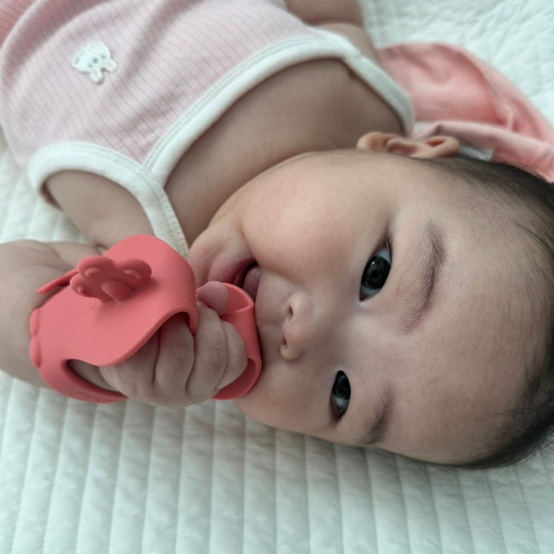 외출 필수템 모윰 스타터 양 치발기! 5개월 아기 구강기 꿀템 추천