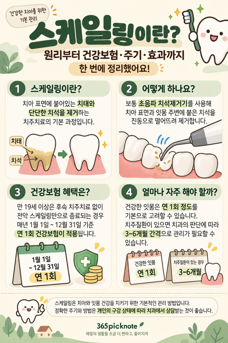 스케일링 처음이라면? 치석 제거 원리부터 건강보험·주기·효과까지 한 번에 정리