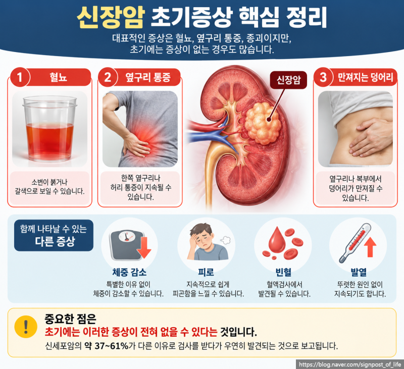 신장암 초기증상 7가지 혈뇨가 나오면 몇 기일까?
