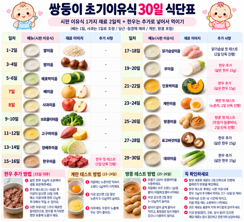 쌍둥이 초기 이유식 시작! 첫 쌀미음 만들기부터 이유식 식단표까지