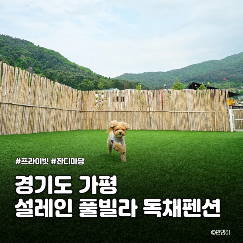 가평 설레인 풀빌라 독채펜션 애견동반 솔직후기