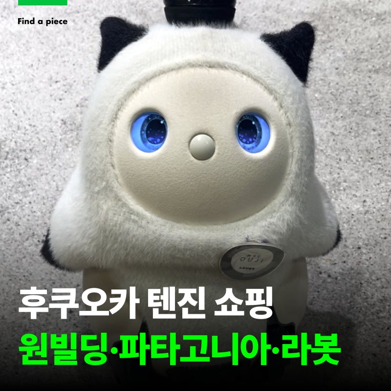 후쿠오카 마지막날 텐진 쇼핑｜ONE FUKUOKA BLDG. LOVOT·이토야·파타고니아·공항 유자주