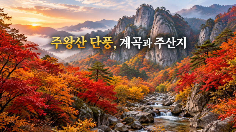 주왕산 단풍 코스｜용추폭포·주산지 하루에 어떻게 볼까