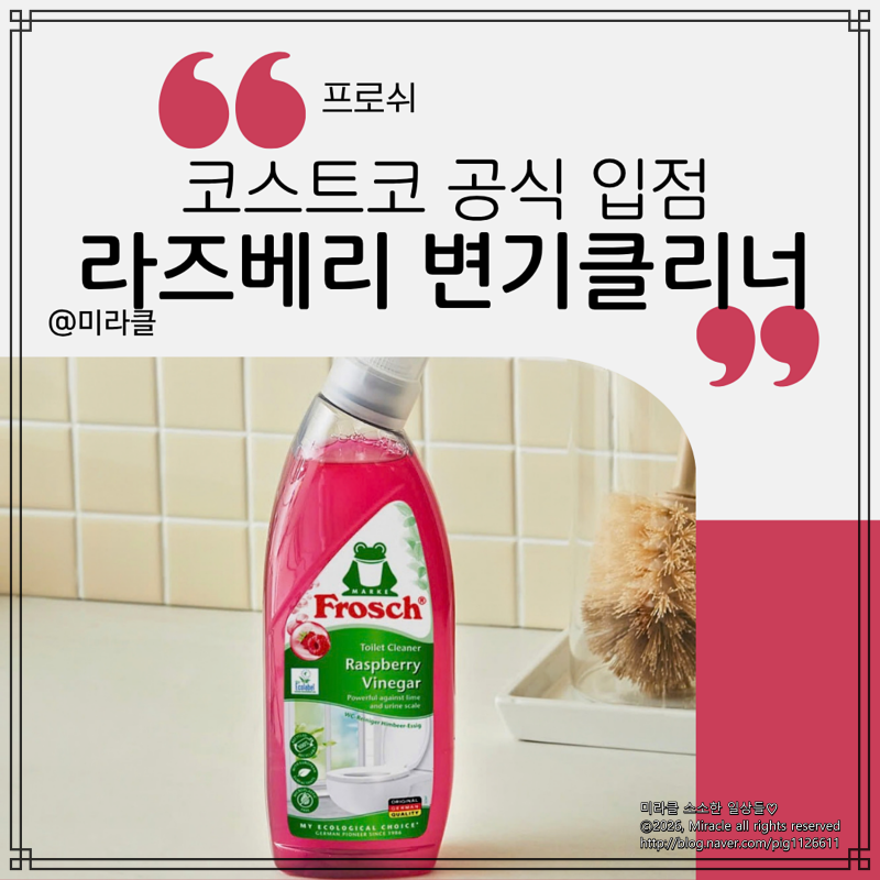 락스 냄새 없이 상큼하게! 프로쉬 라즈베리 변기클리너 코스트코 추천템 실사용기