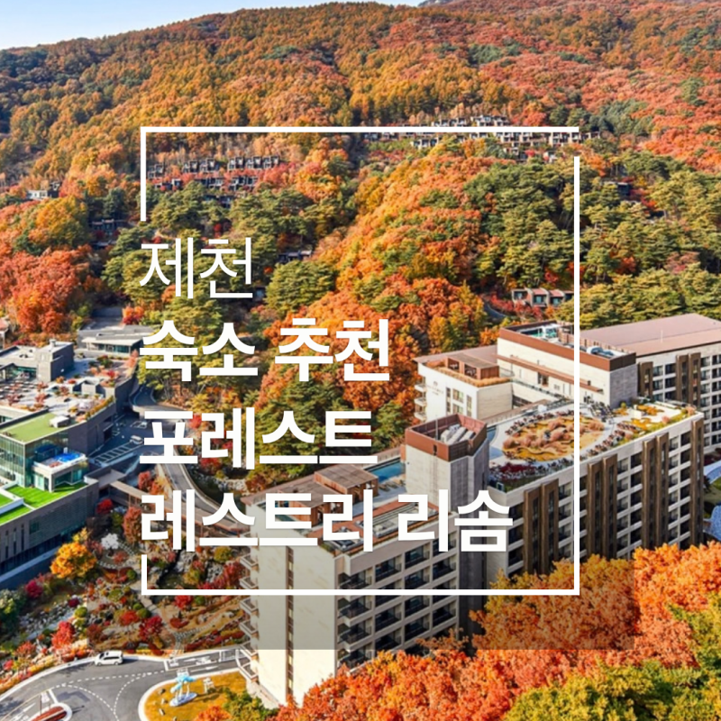[제천] 숙소 추천 리솜 포레스트 리솜 레스트리 비교 가격, 스파, 카트 꿀팁 총정리